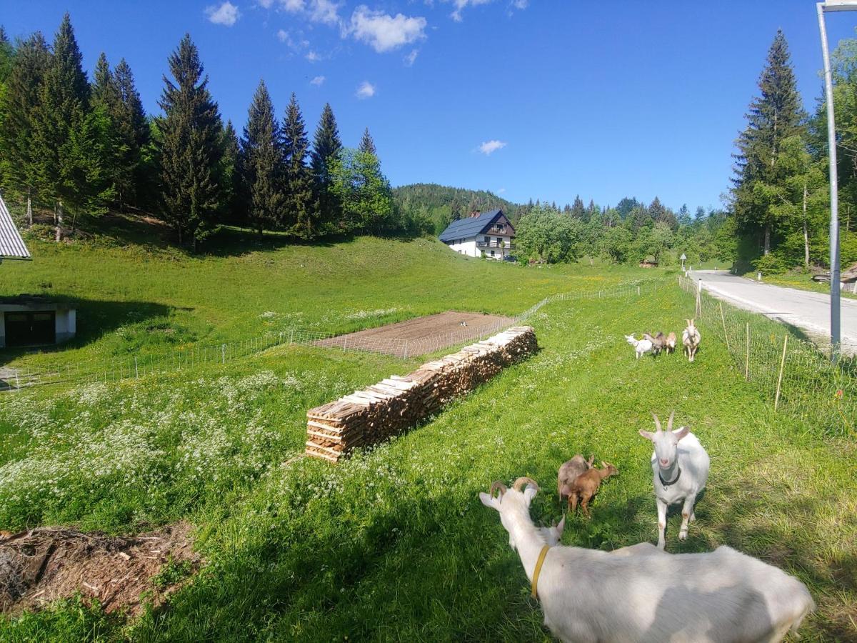 Tourist Farm Pr' Maretc Apartment Bohinjska Bistrica Exterior photo