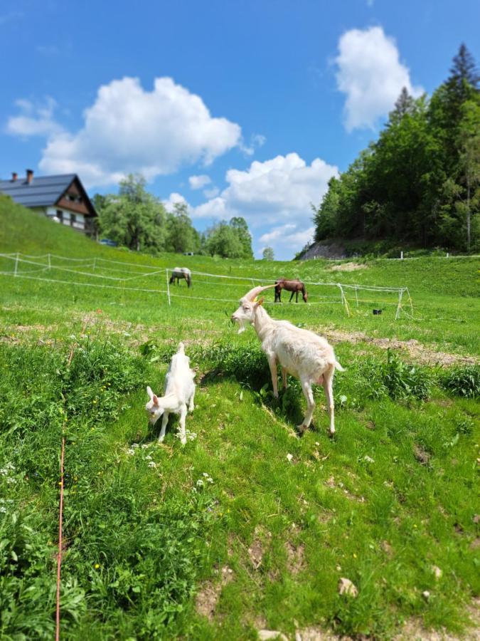 Tourist Farm Pr' Maretc Apartment Bohinjska Bistrica Exterior photo